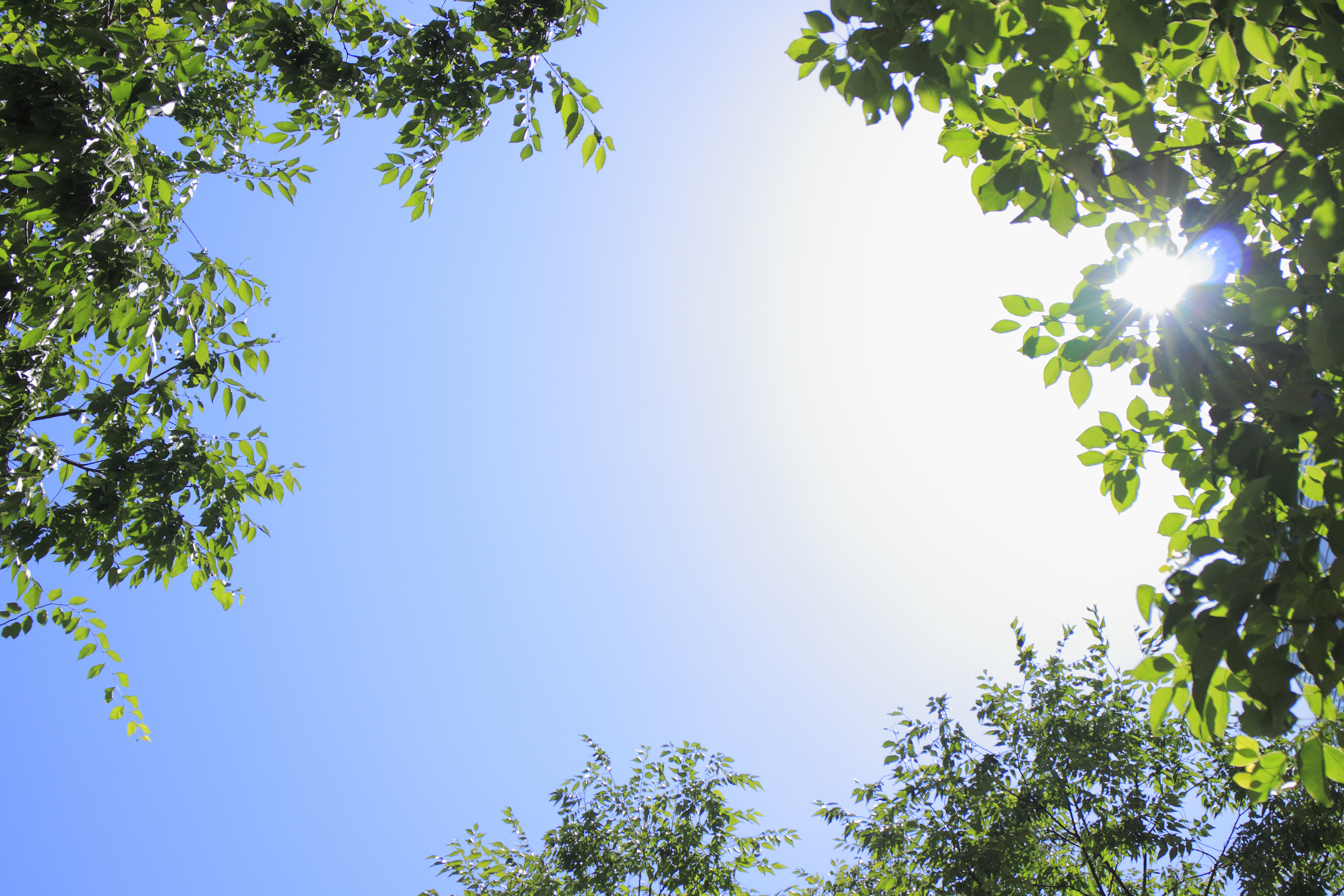 【夏の電気代と仕事環境に関する調査】“夏の長期化”で「電気代が気になる」在宅ワーカーが約9割コワーキングスペースでのクールシェアが、冷房など節電につながると感じる人も